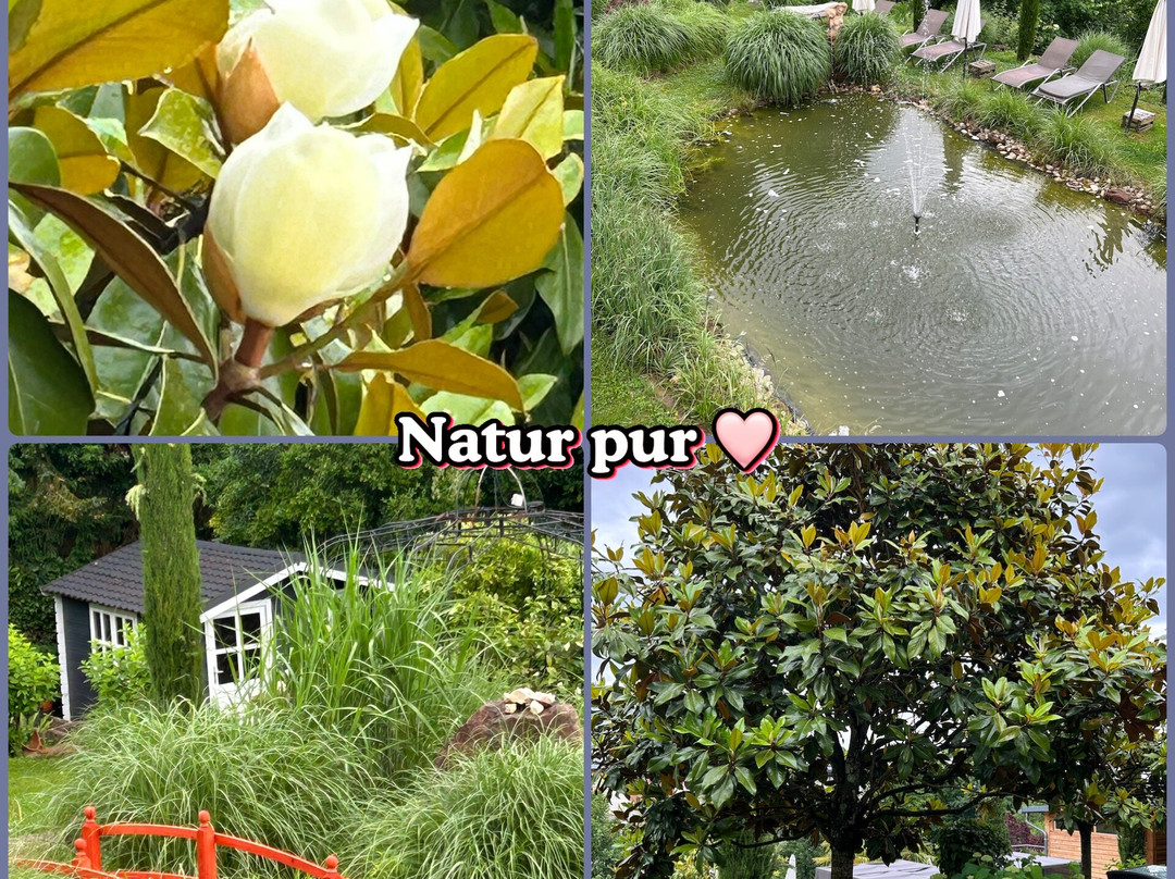 Weinhotel Wiedemann主图