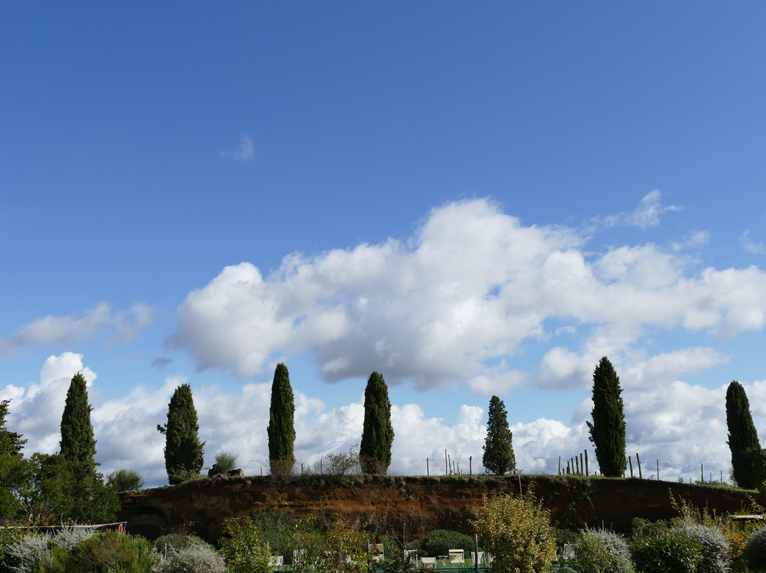 Locanda Rosati主图