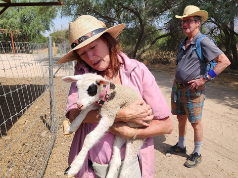 Bike Tour Queretaro-克雷塔罗必去景点