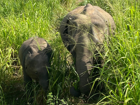 Fairceylon Holiday (pvt)ltd.-科伦坡必去景点