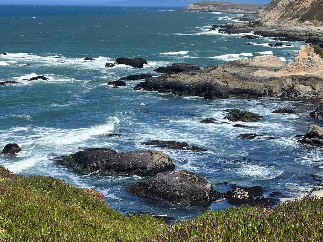 Bodega Head-博德加湾必去景点