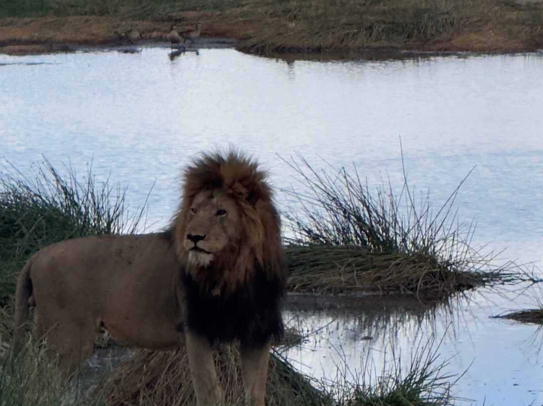 Ellington Safaris-坎帕拉必去景点