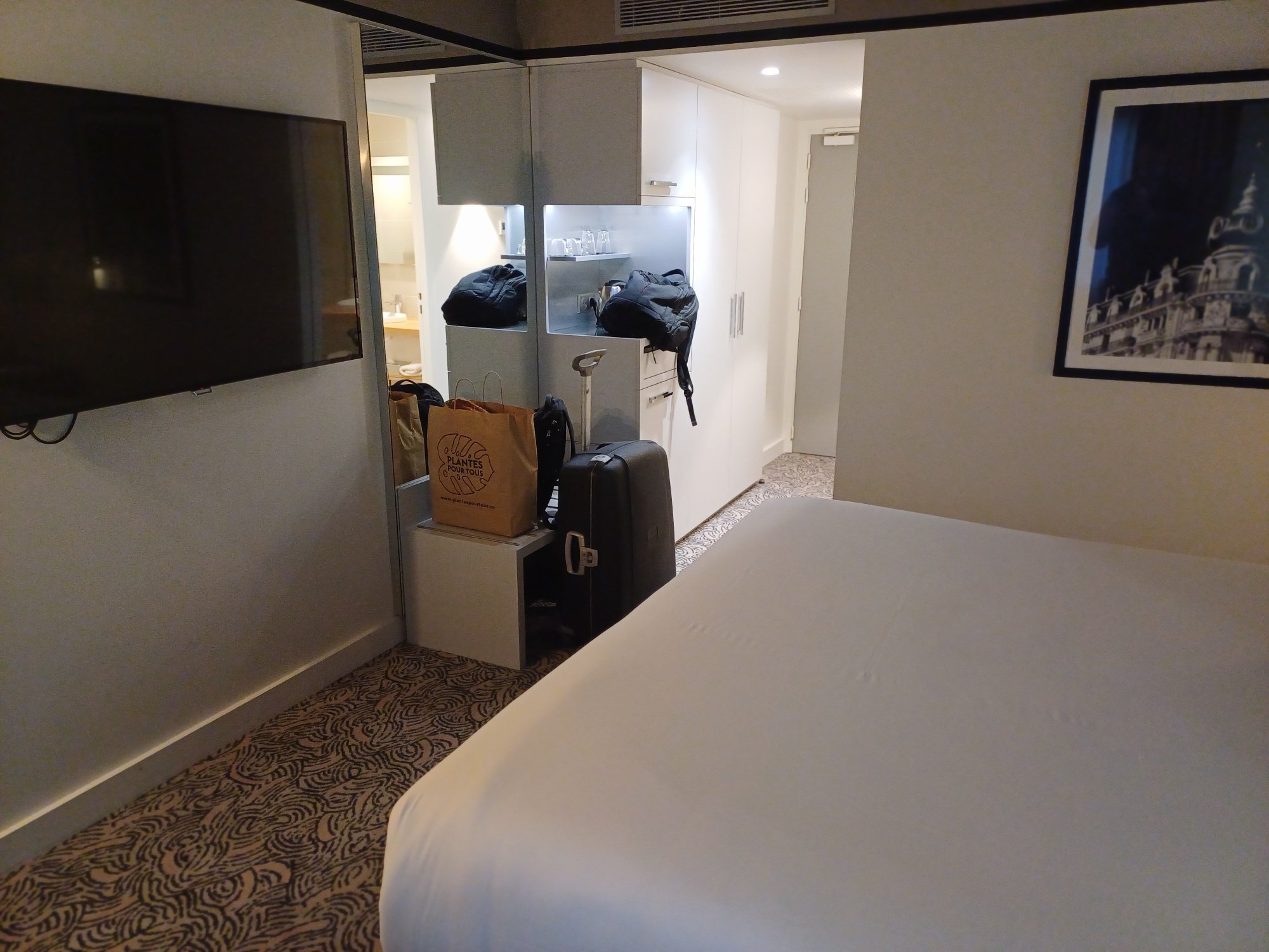 蒙彼利埃中心铂尔曼酒店-客卧