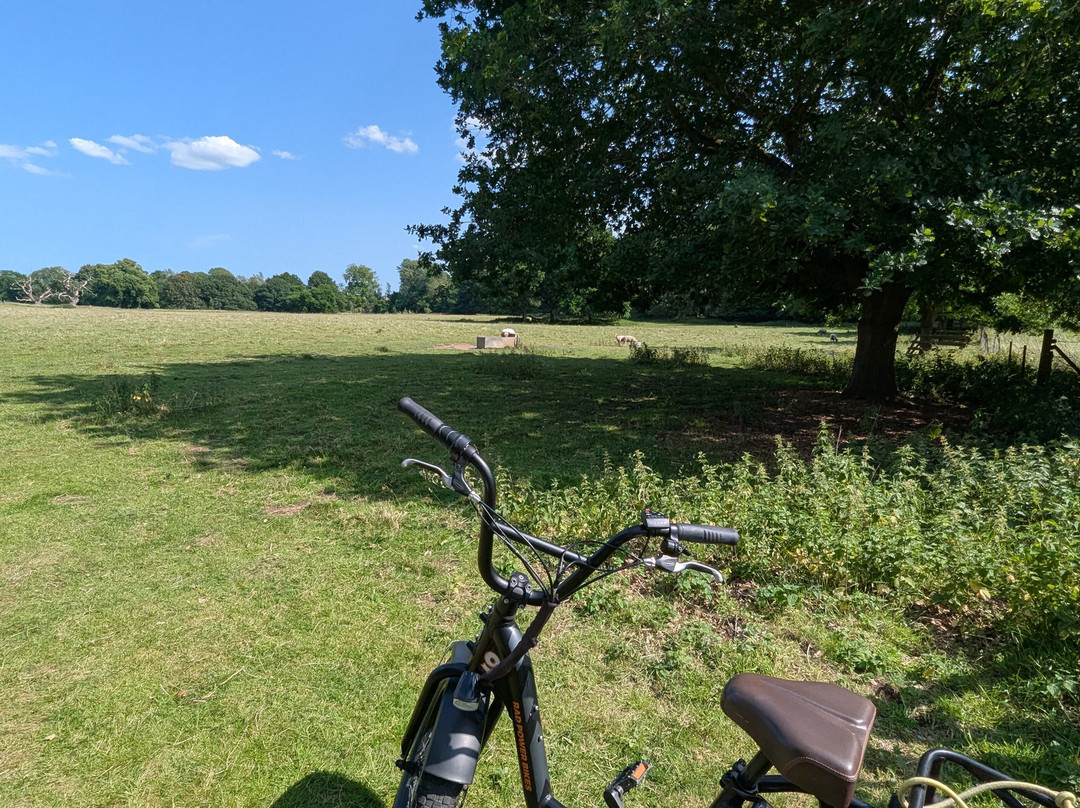 EEZYBIKE-Sudbury必去景点