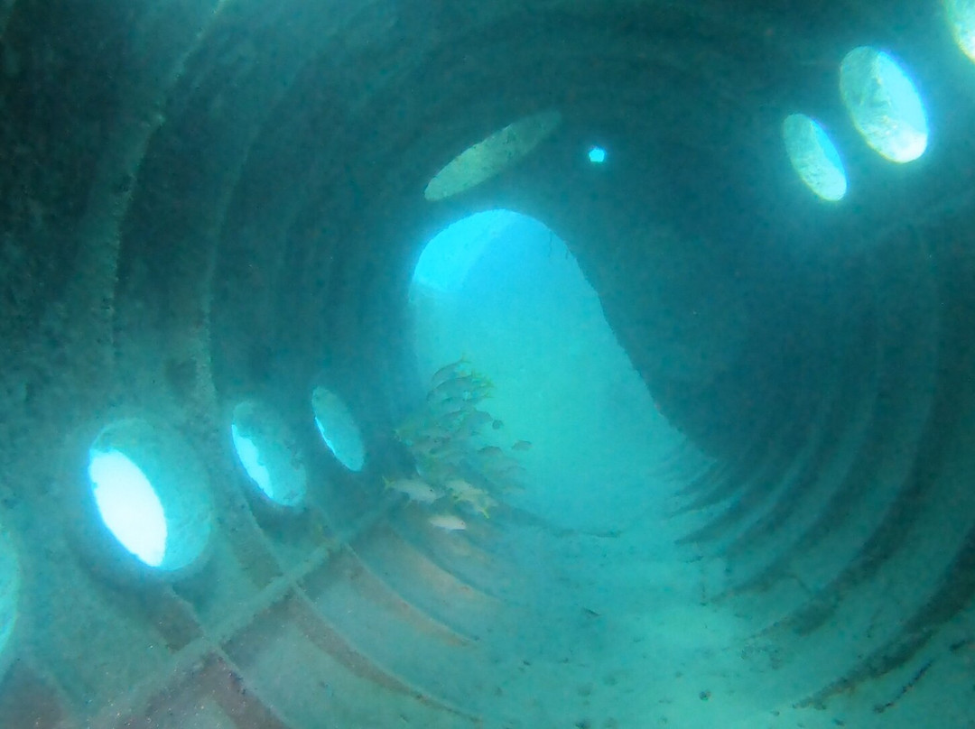 Dive Center Scuba Do-威廉斯塔德必去景点