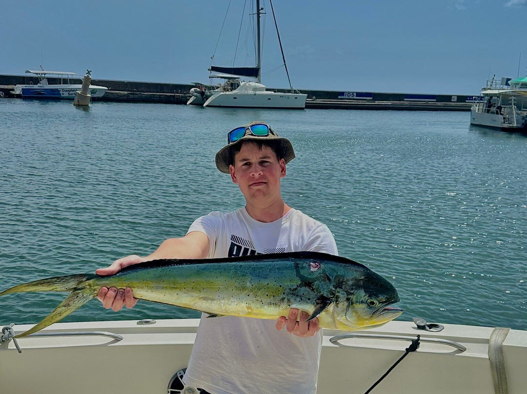 Carib Evasion-Case-Pilote必去景点