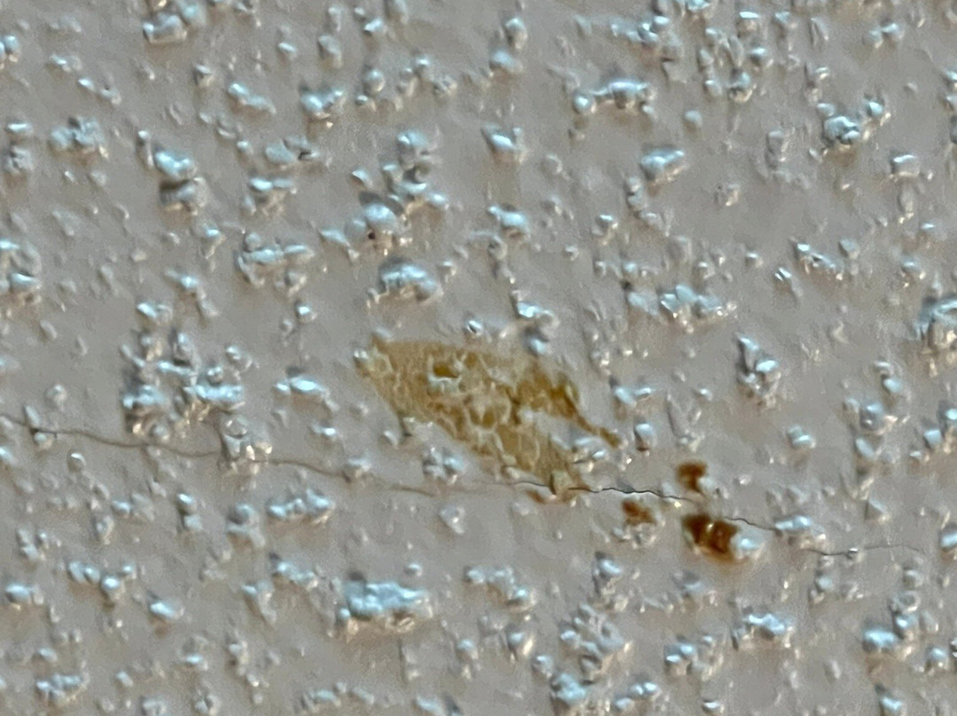 Days Inn By Wyndham Monroe, La