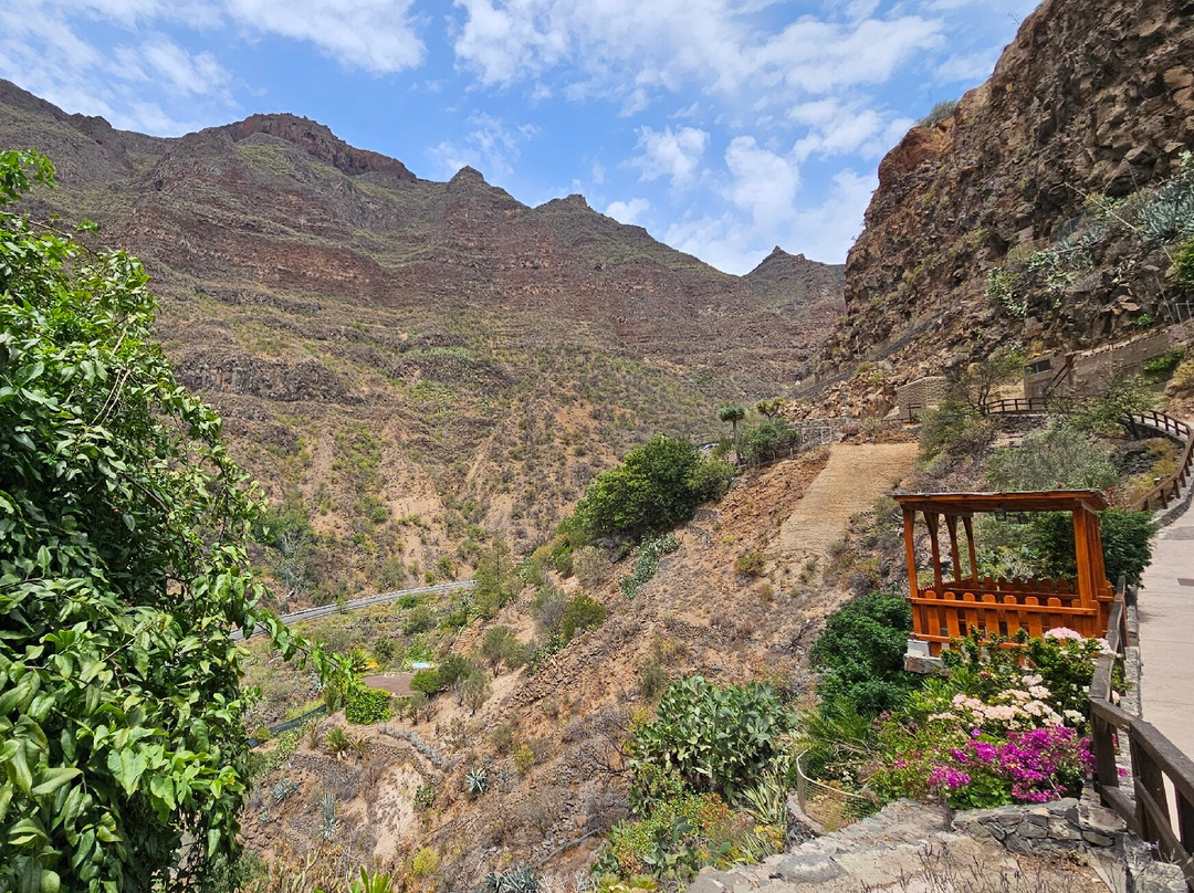 Barranco de Guayadeque-Ingenio必去景点