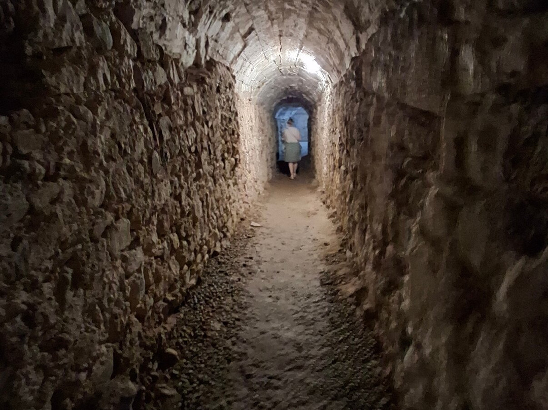 Fortezza di Sarzanello-Sarzana必去景点