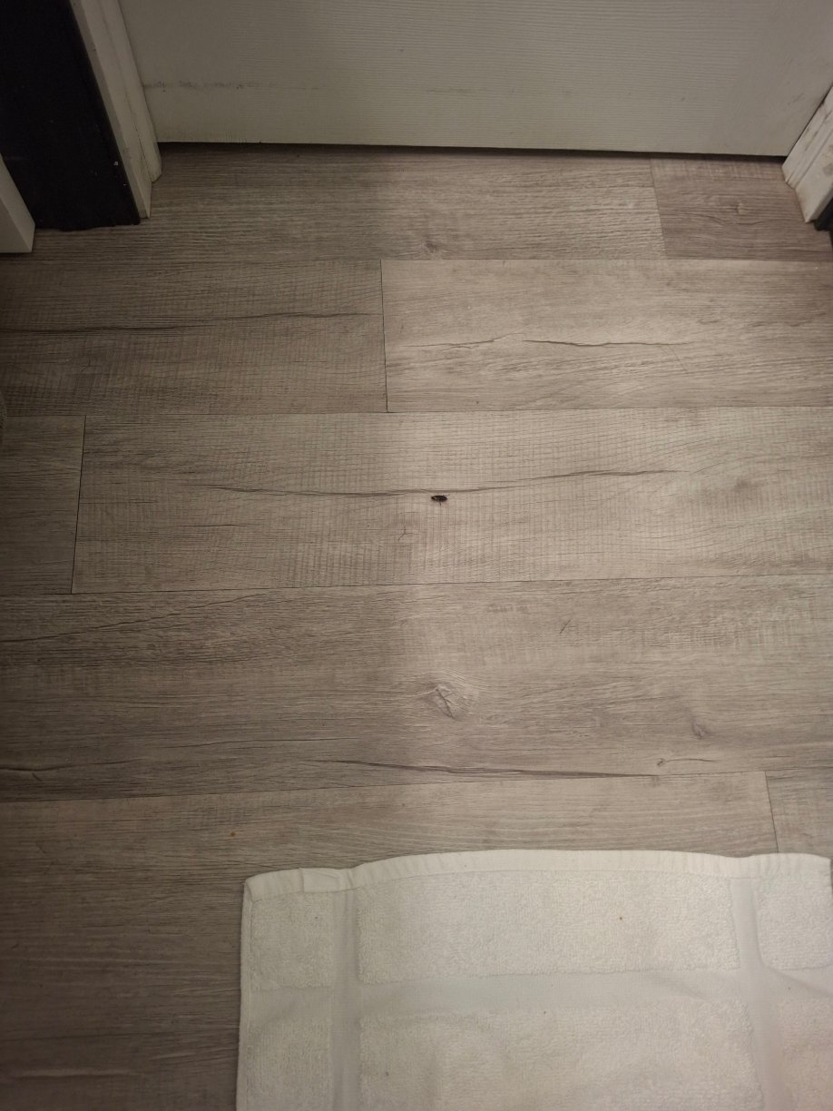 罗恩克斯附近的兰卡斯特汽车旅馆-浴室