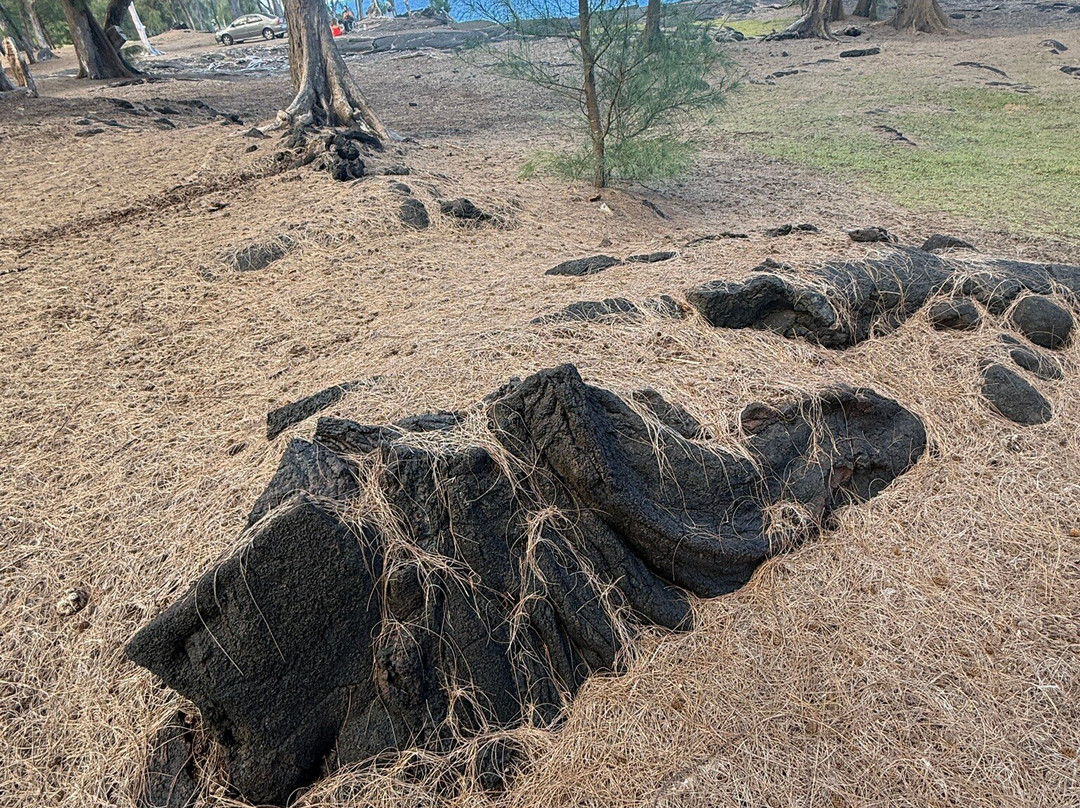 MacKenzie State Park-夏威夷大岛必去景点