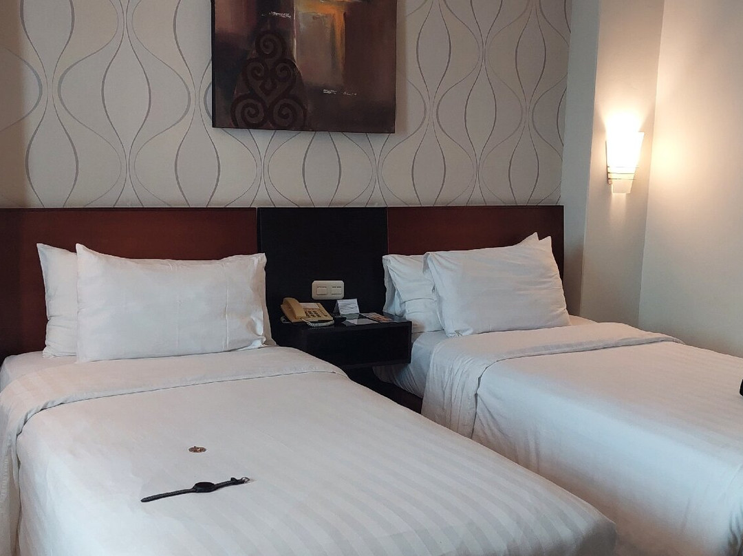 阿斯顿丹中城大酒店主图