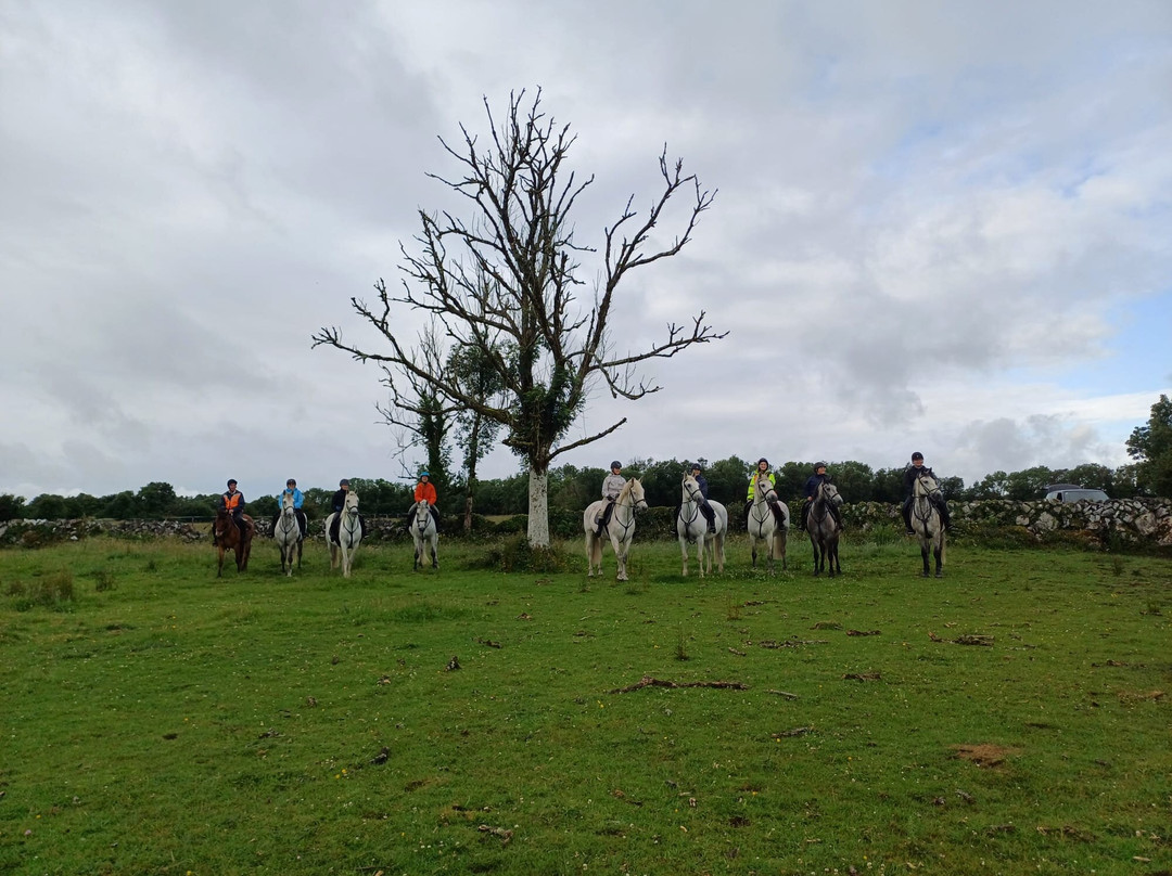 Connemara Equestrian Escapes