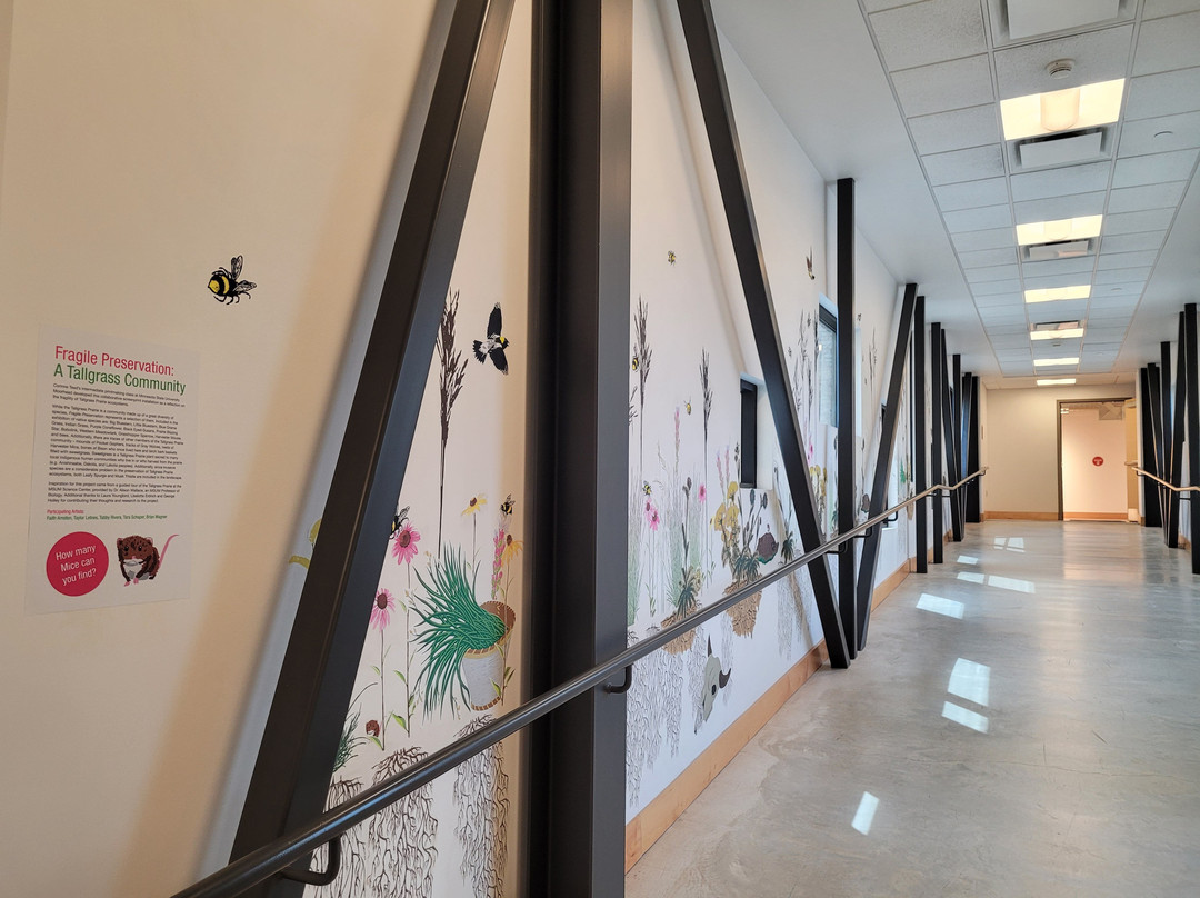 Plains Art Museum-法戈必去景点