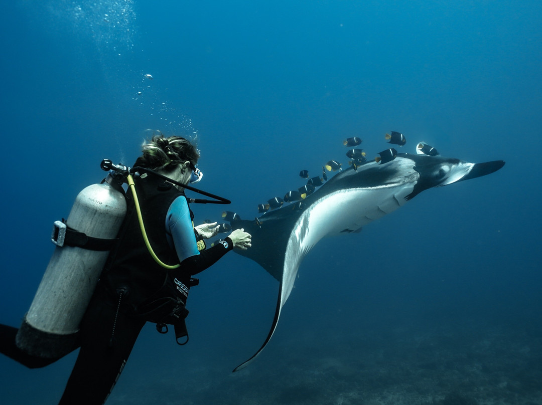 Be Salty - Scuba Diving, Snorkel Tours, Private Boat