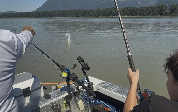 The Fraser River's Edge Guiding & Tours-奇利瓦克必去景点