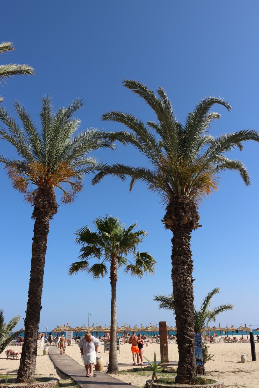 Steigenberger Marhaba Thalasso-泳池