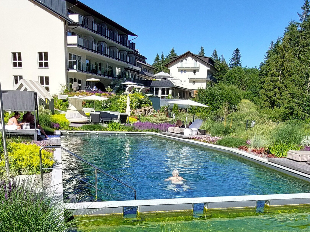 Belchenhotel Jaegerstueble主图