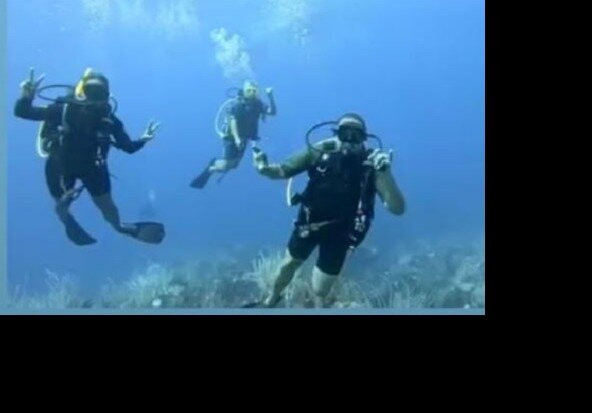 Ocean Explorers Dive Center-辛普森湾必去景点