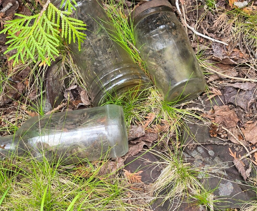 Black Creek Provincial Park-Stokes Bay必去景点