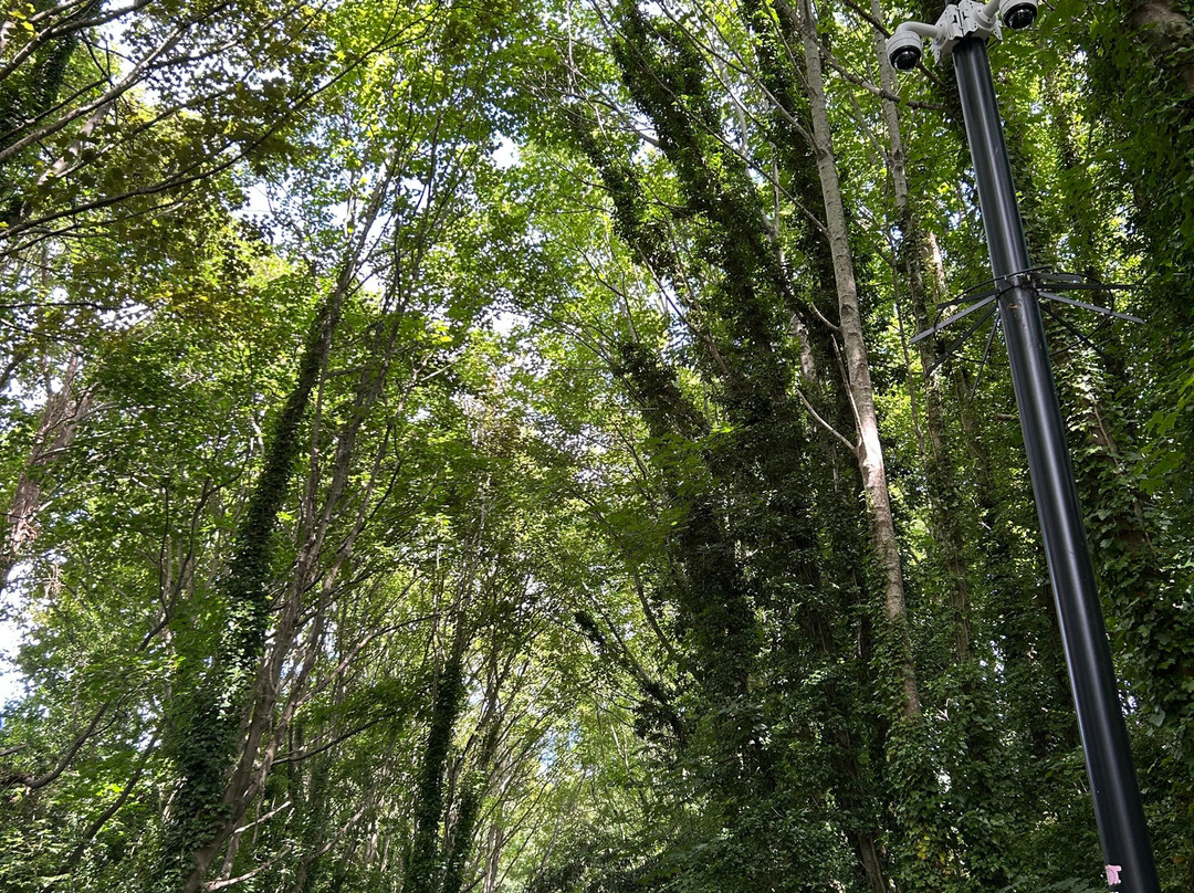 Weymouth Portland Railway Walk-韦茅斯必去景点
