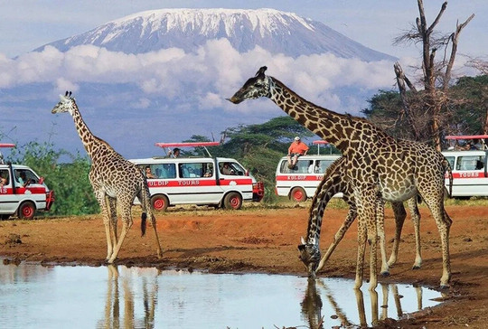 Kuldip's Touring Company Ltd