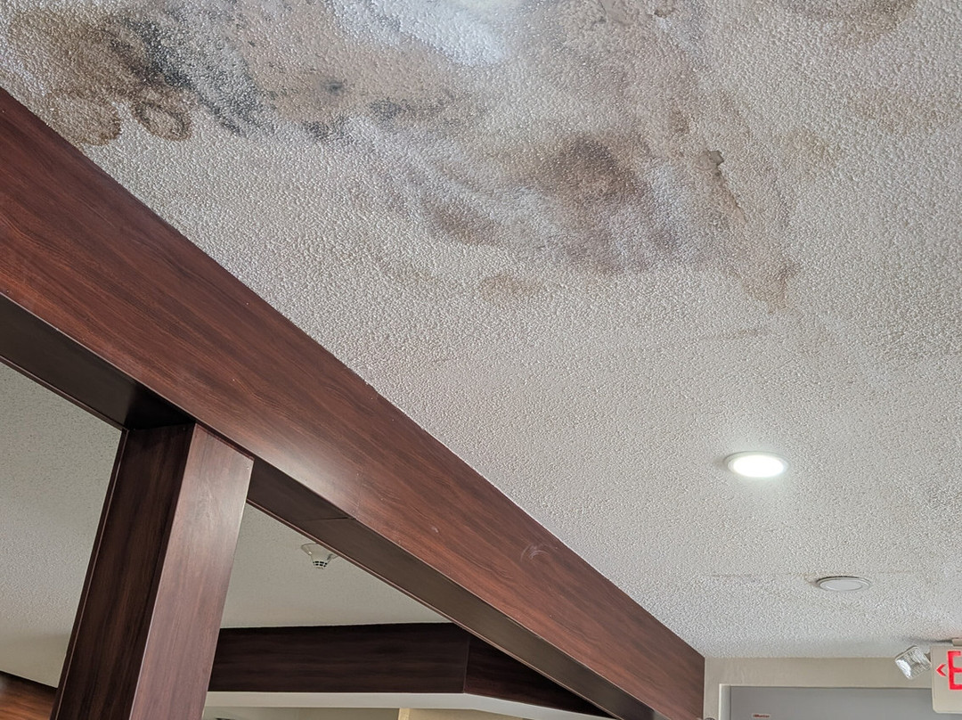 Microtel Inn & Suites By Wyndham Gassaway/sutton主图