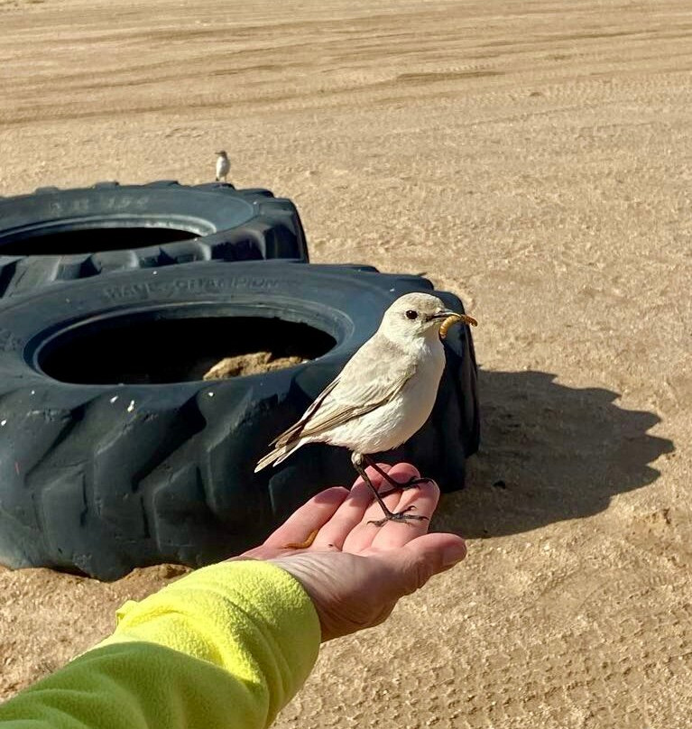 Tommy's Tours and Safaris-斯瓦科普蒙德必去景点