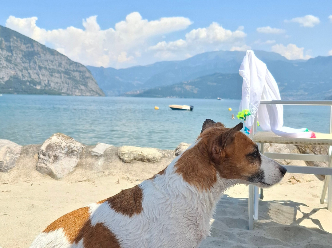 Il Lido Iseo-伊塞奥必去景点