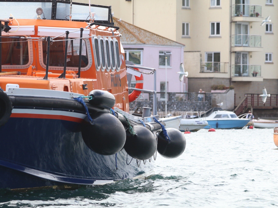 Devon Sea Safari-廷茅斯必去景点