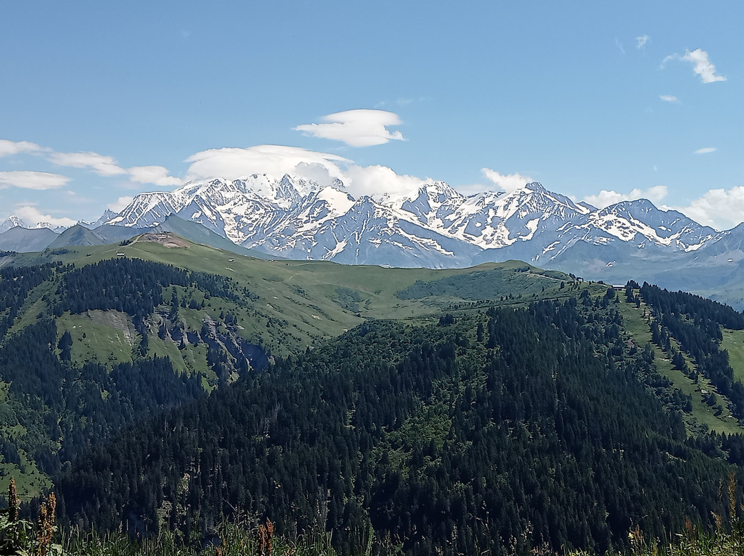 Le Tour Du Chard Du Beurre