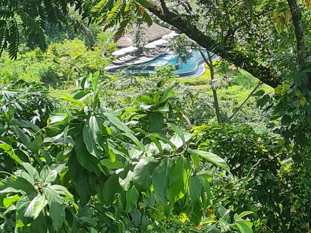 Avana Retreat主图