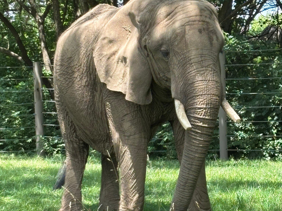 Indianapolis Zoo-印第安纳波利斯必去景点