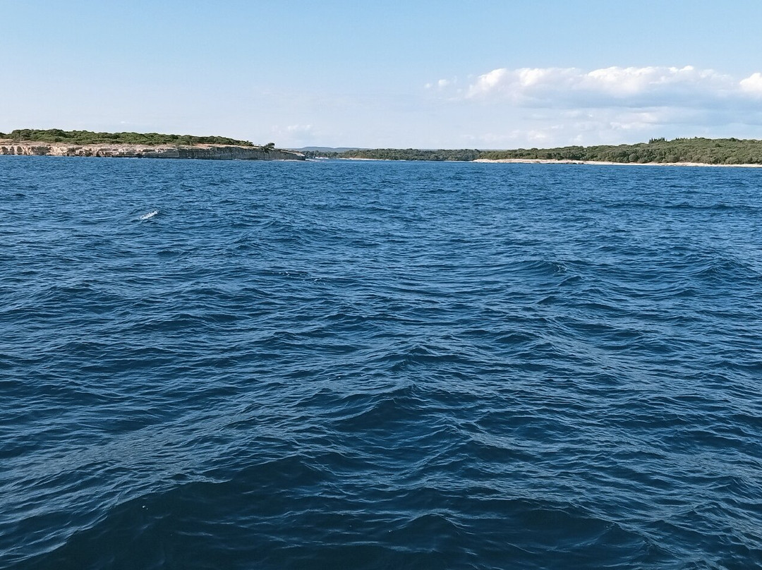 Kika Excursion Brijuni Pula-普拉必去景点