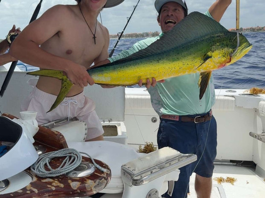 AAA Charters & Adventures-阿范特拉斯港必去景点