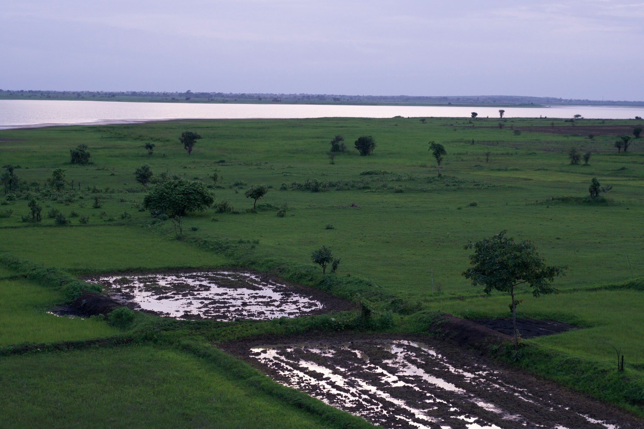 Irai Safari Retreat-官方