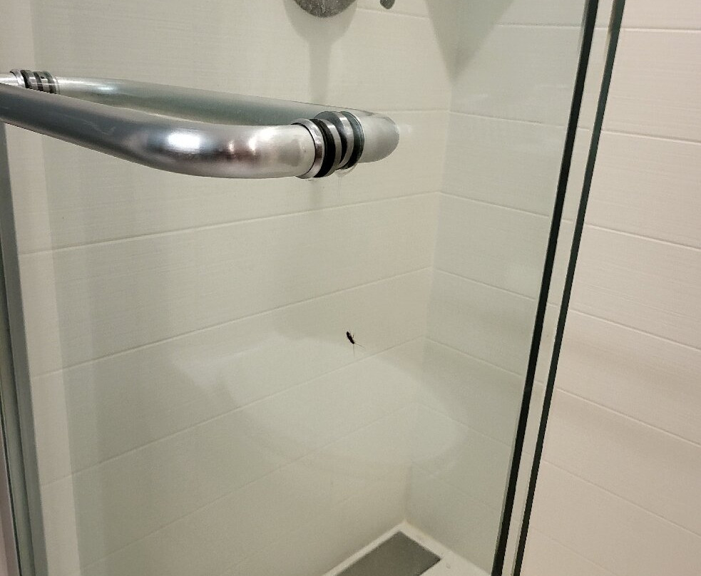 Home2 Suites by Hilton Tallahassee State Capitol主图