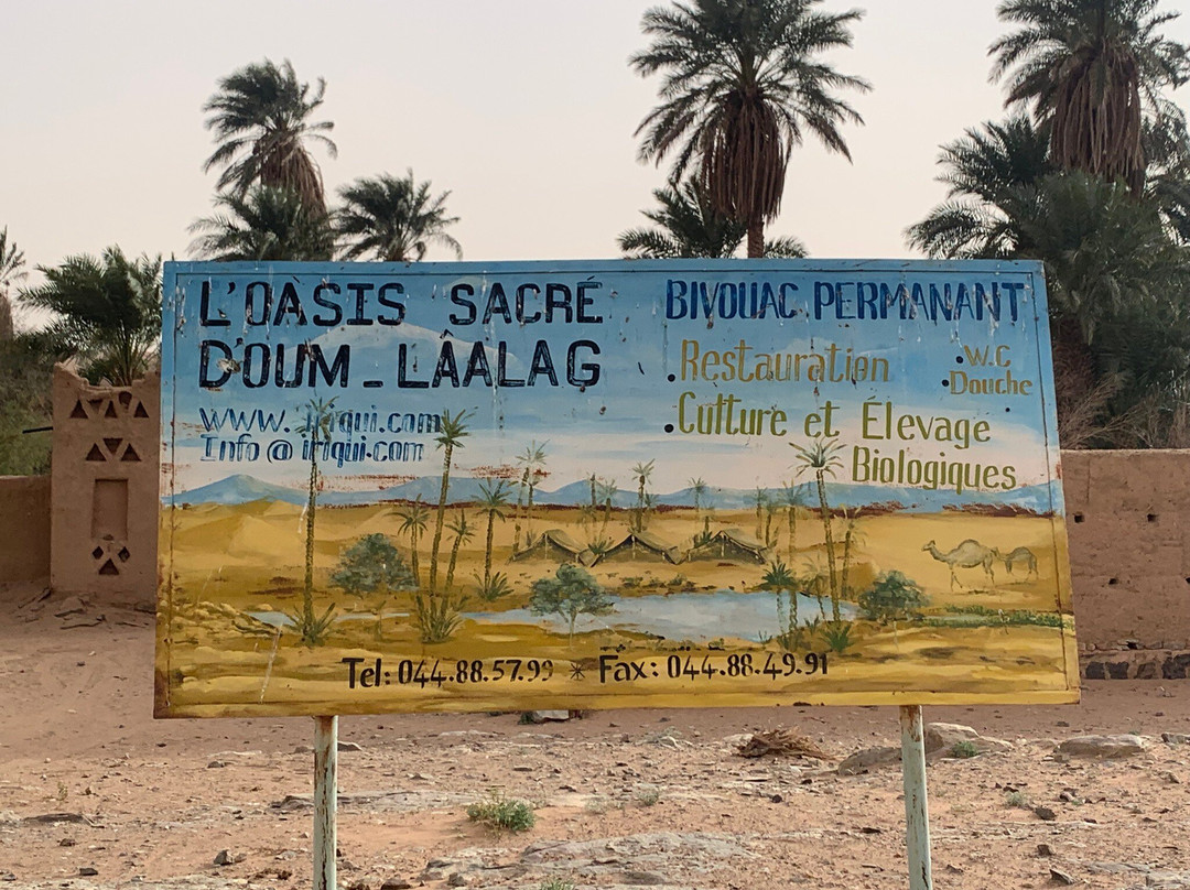 Sahara Bedouins-迈哈米德必去景点