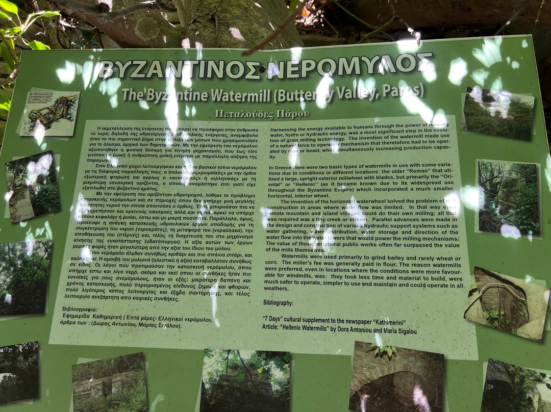 Butterflies Nature Reserve-帕罗斯岛必去景点