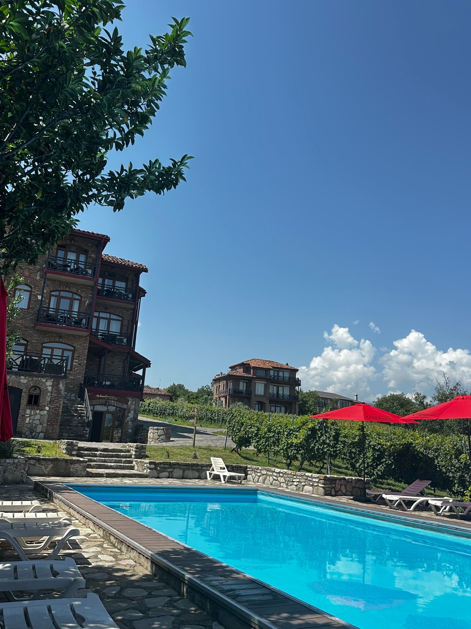 Schuchmann Wines Chateau, Villas & SPA-官方