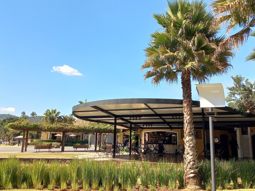 Vinicola Goes-Sao Roque必去景点