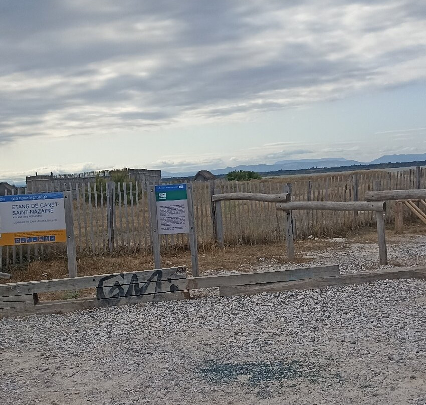 Étang de Canet - Saint-Nazaire.-Saint-Nazaire必去景点