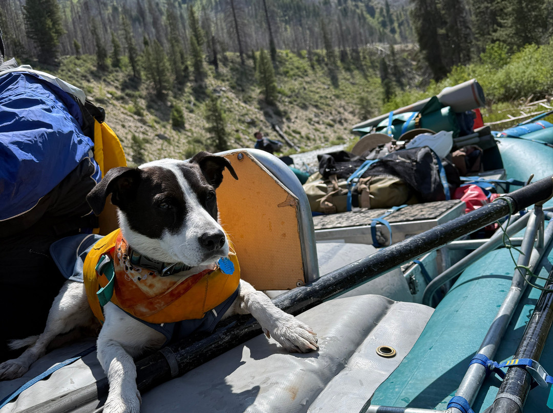 Solitude River Trips-Salmon必去景点