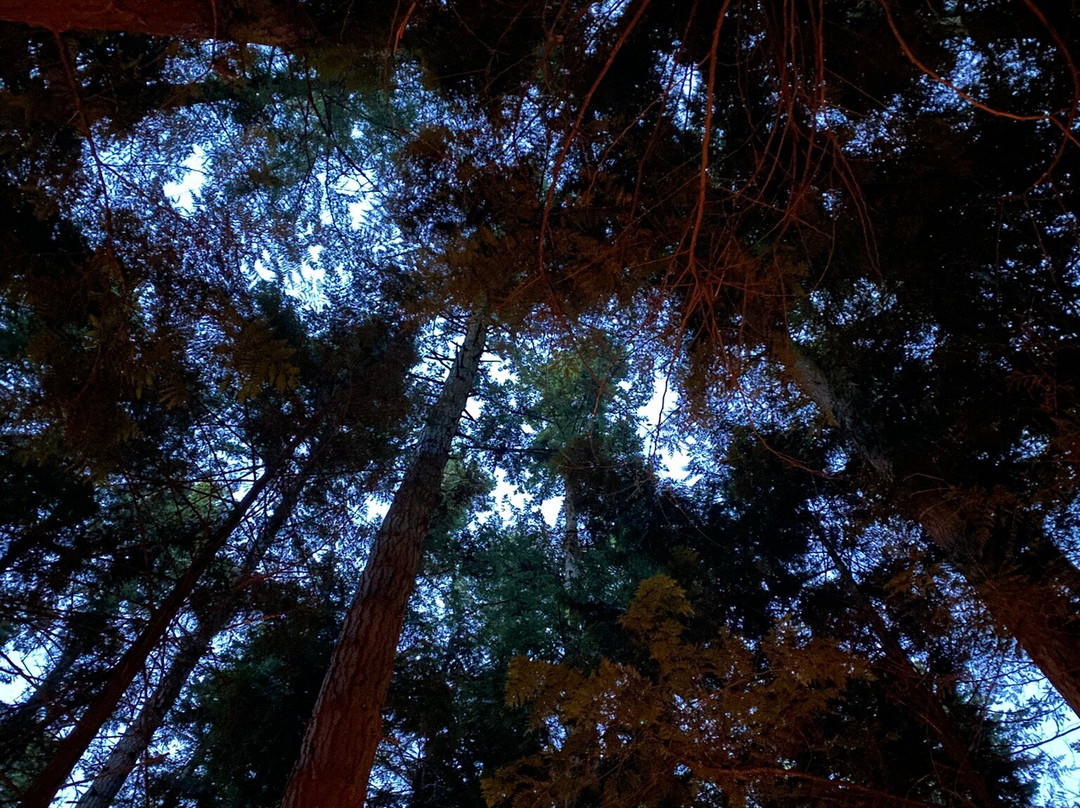 Washington Park-Anacortes必去景点