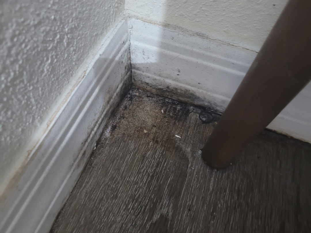 萨拉索塔金侯斯特酒店主图