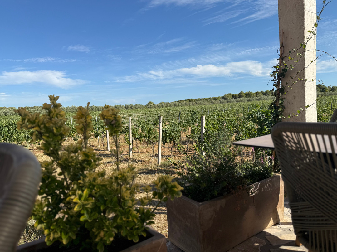 BARAKA Winery-希贝尼克必去景点