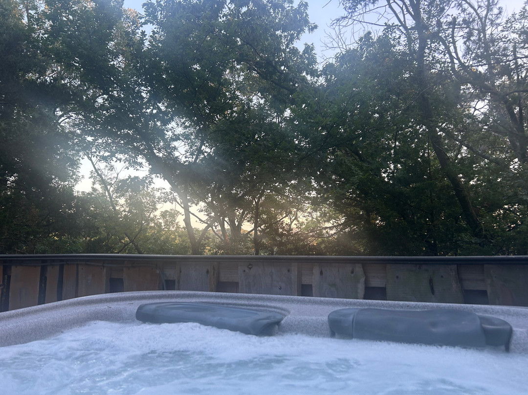 The Cottage | Treehouses & Cabins主图