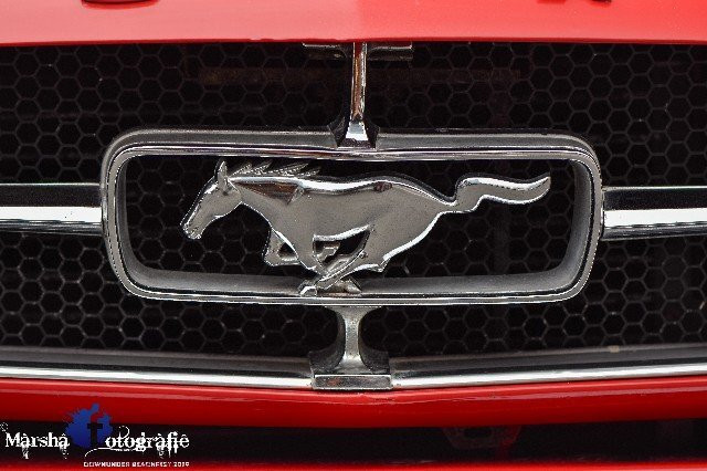 Downunder Beachfest-卡伦德拉必去景点