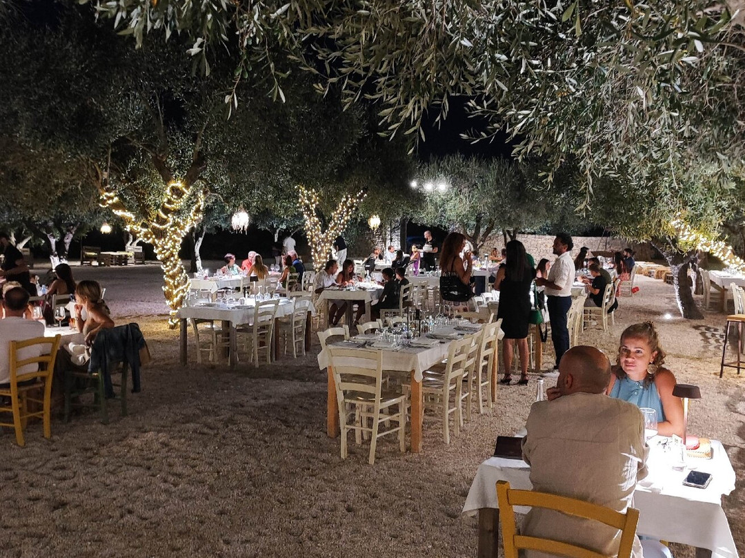 Contado degli Ulivi