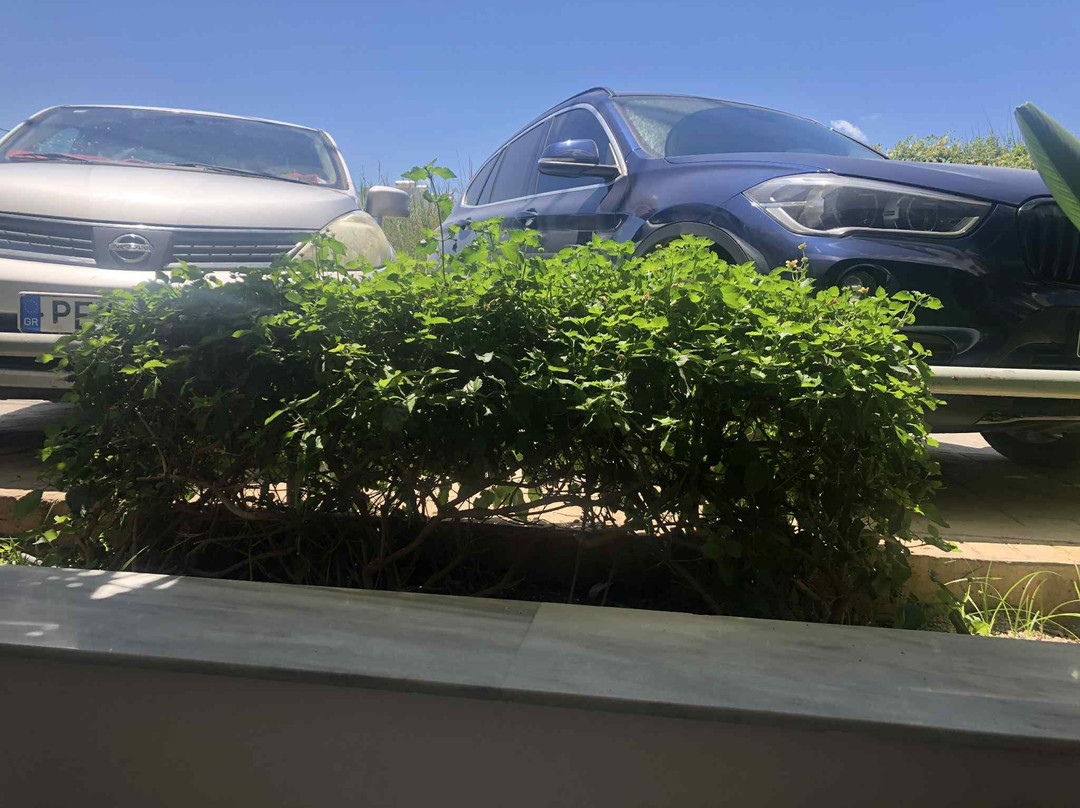 Aristea Hotel Rethymnon主图